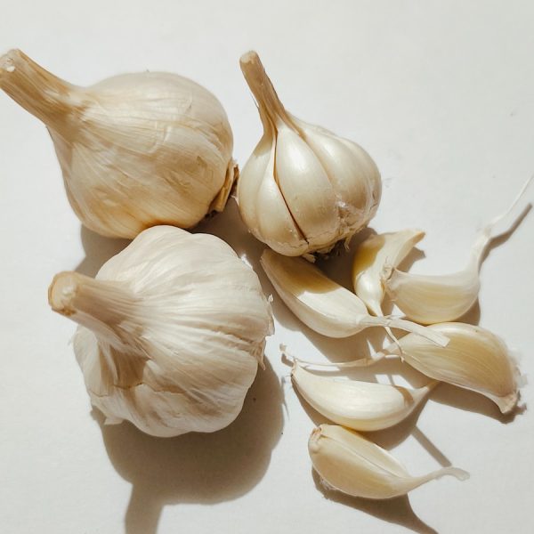 a couple of garlics sitting on top of a table