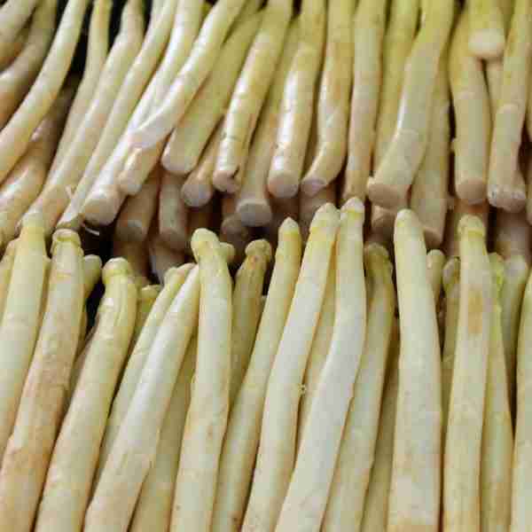 weißer Spargel